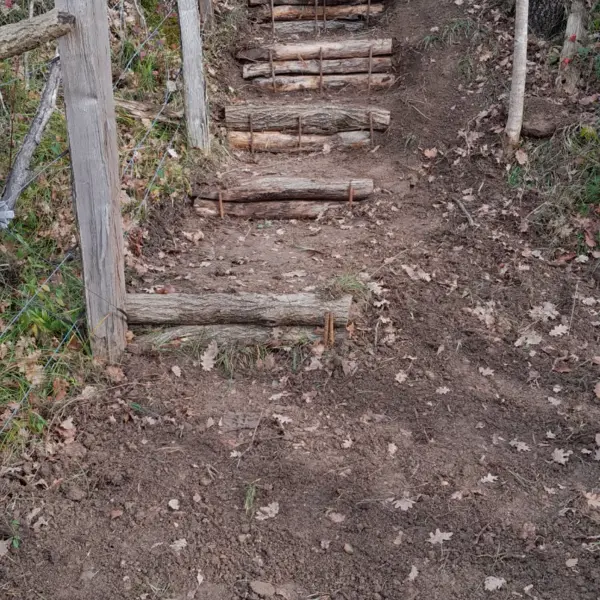 Escalier rustique en rondins sur sentier forestier aménagé par sola, spécialiste espaces verts à limoux