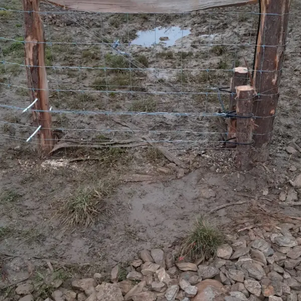 Clôture agricole en fil de fer installée sur terrain boueux par sola près de limoux
