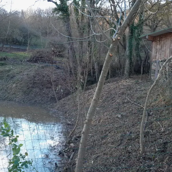 Bord de forêt avec cabane en bois et étang aménagés par sola près de limoux