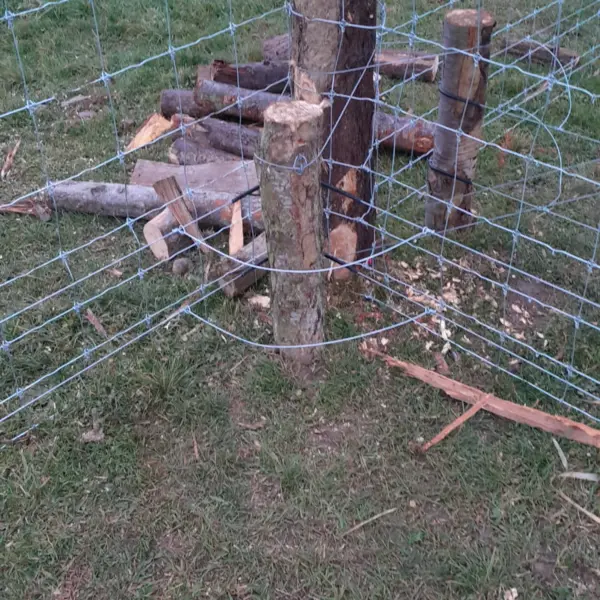 Clôture métallique sur piquets bois rustiques installée par sola en terrain rural près de limoux