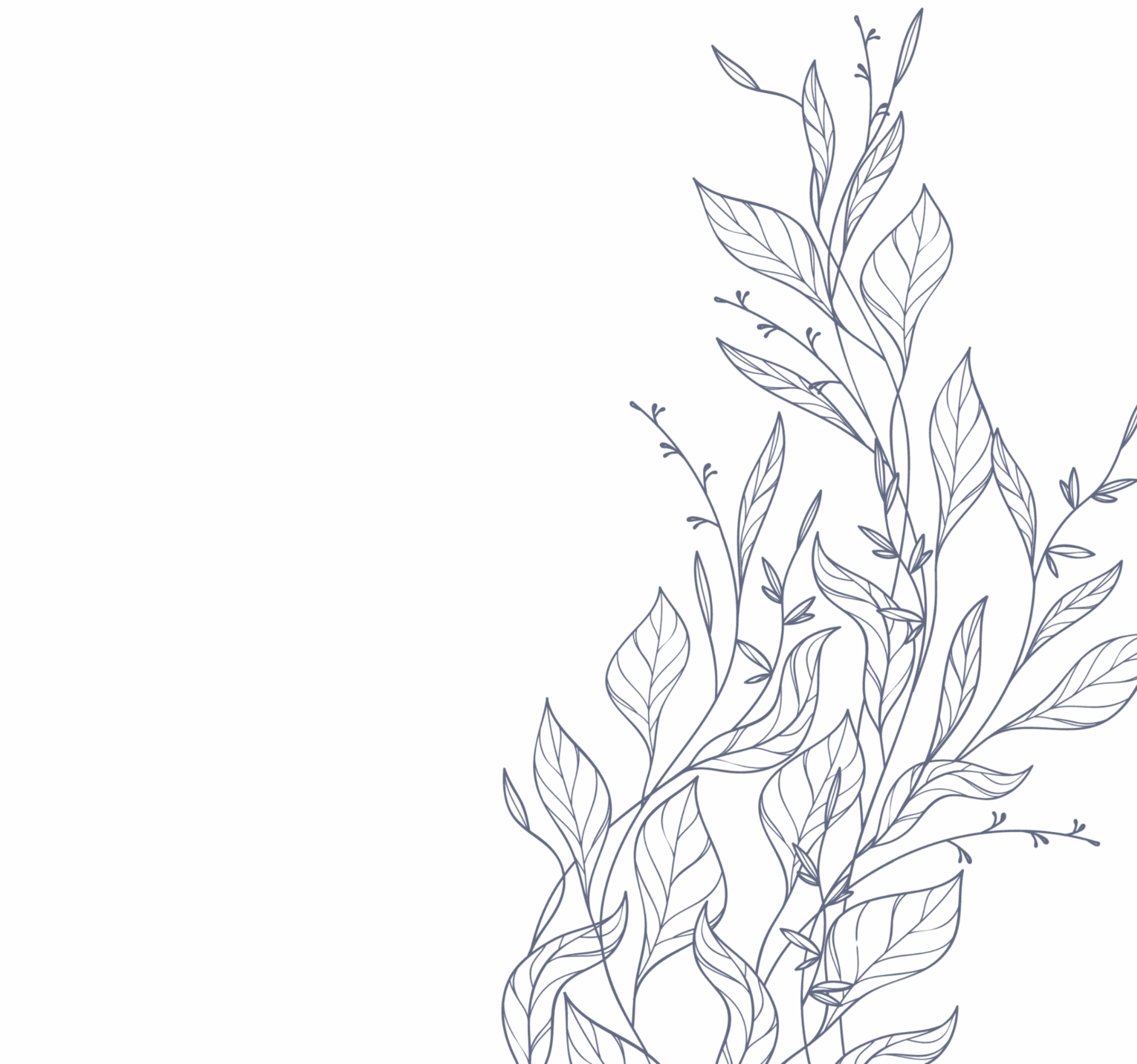 fond bleu minimaliste avec illustration végétale élégante pour sola à limoux