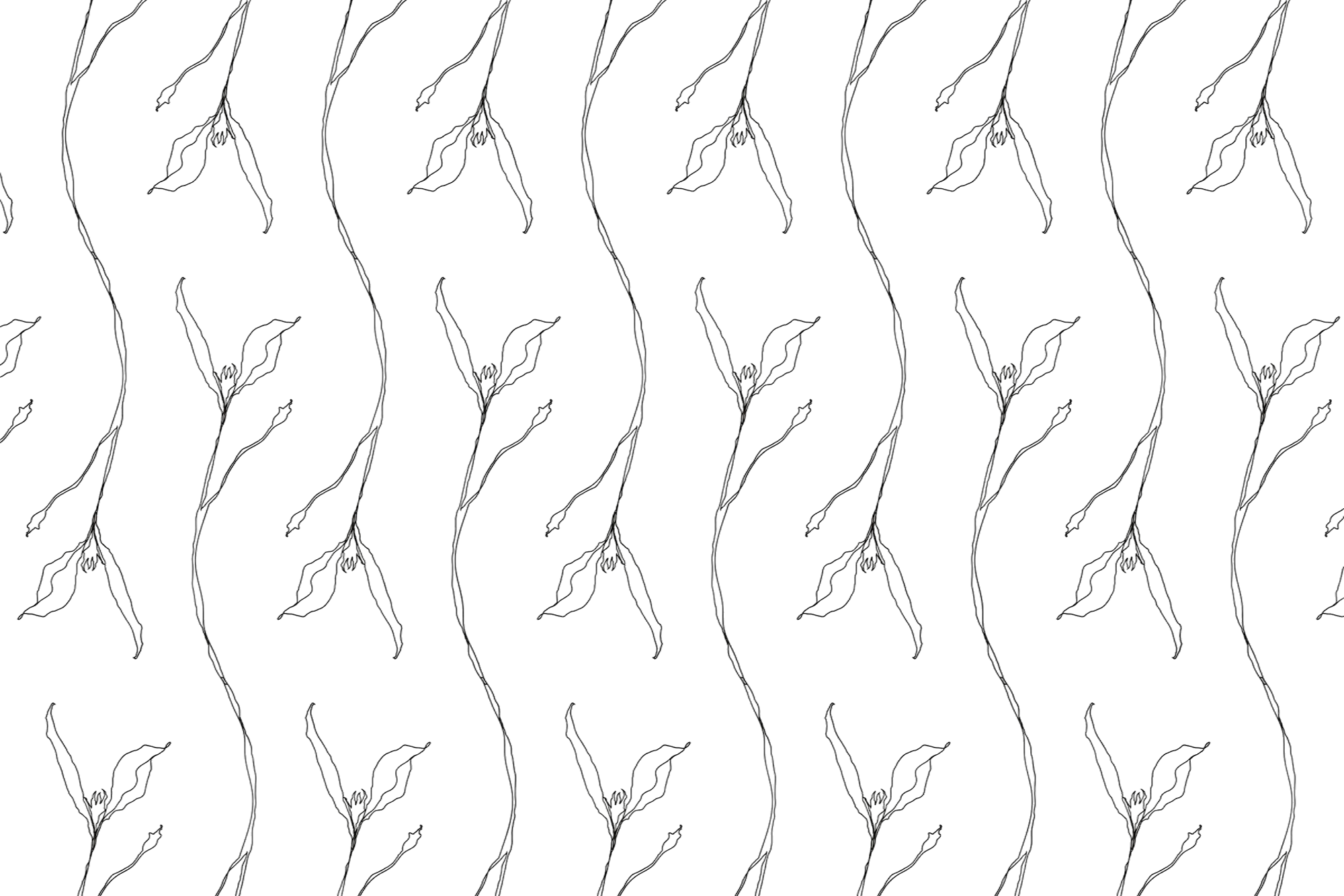 motif végétal minimaliste noir et blanc pour sola à limoux, branches fines et feuilles stylisées